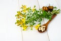 St. John`s wort, herbal medical pills. Royalty Free Stock Photo