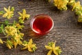 St. John`s wort oil in a bowl, with fresh St. John`s wort flowers Royalty Free Stock Photo