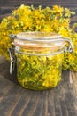St. John`s Wort Oil Royalty Free Stock Photo