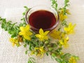 St. John's wort oil Royalty Free Stock Photo