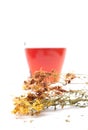 St. John`s wort tea on white background Royalty Free Stock Photo