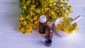 St. John's wort essential oil in a small bottle. Selective focus Royalty Free Stock Photo