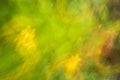 Abstract background. St Johns Wort blurred with intentional camera movement.