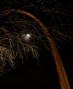 St. Louis Arch at night Royalty Free Stock Photo