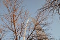 St. Louis Arch in winter Royalty Free Stock Photo