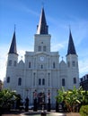 St louis cathedral Royalty Free Stock Photo