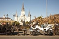 St Louis Cathedral with Mule Carriages