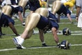 St. Louis Rams Training Camp, Concordia University