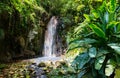 St Lucia landscape