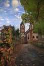 St. Lutwinus church and road with leaves in Mettlach