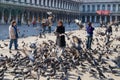 Tourists feed pigeons at Piazza San Marco in Venice, Italy.