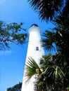 St Marks Lighthouse among palms