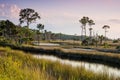 St. Marks National Wildlife Refuge