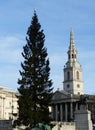 St Martin in the Fields and Christmas tree, Trafalgar Square Royalty Free Stock Photo