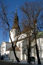 St Mary`s Cathedral or the Dome Church in Tallinn, Estonia Royalty Free Stock Photo