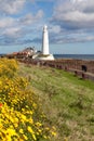 St Mary`s Lighthouse and causeway Royalty Free Stock Photo