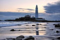 St Mary's Lighthouse and Gull Royalty Free Stock Photo
