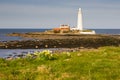 St Marys Lighthouse with daffodils Royalty Free Stock Photo