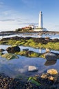 St Marys Lighthouse at low tide Royalty Free Stock Photo