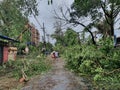 21st May 2020 - Narendrapur, West Bengal, India. Trees destroyed and fallen on road as pedestrians walk by as an aftermath of