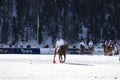 Game actions at the Snow Polo World Cup St.Moritz 2024 finals