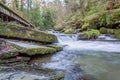 St Nectans Glen Royalty Free Stock Photo