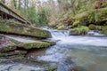 St Nectans Glen