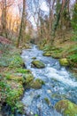 St Nectans Glen Royalty Free Stock Photo