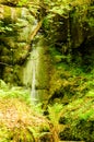 St Nectans Glenn waterfall Royalty Free Stock Photo