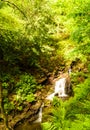 St Nectans Glenn waterfall Royalty Free Stock Photo