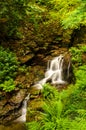 St Nectans Glenn waterfall Royalty Free Stock Photo
