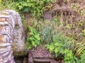 Close up of the ancient St Non`s Well, Wales