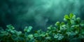 St Paddys Day celebration banner featuring lucky fourleaf clovers on green. Concept St, Patrick\'s Day, Celebration, Four-Leaf