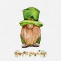 St Patrick day leprechaun with four leaves clovers, Greeting card a gnomes with shamrock a luck symbols.Vector Watercolour green