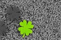 St patrick green clover among gray sheets of millet tinted background Different From The Crowd Concept Royalty Free Stock Photo