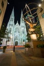 St. Patrick s Cathedral in New York City Royalty Free Stock Photo