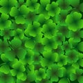 St.Patrick`s day background, 17 March Lucky Day, green leaves