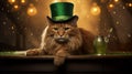 St. Patrick\'s day banner with mainecoon cat wearing green irish elf hat, gold coins, glitter and shamrock clover leaves.