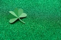 St. Patrick`s day, clover on a green shiny background Royalty Free Stock Photo