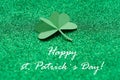 St. Patrick`s day, clover on a green shiny background Royalty Free Stock Photo