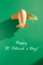 St. Patrick`s day, Plane luck Shamrock on a green background Royalty Free Stock Photo