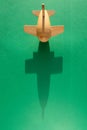 St. Patrick`s day, Plane luck Shamrock on a green background Royalty Free Stock Photo