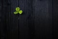 St patrick`s day concept - shamrock on wood boards. Abstract Border art design magic backdrop