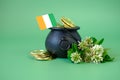St.Patrick 's Day . flag of Ireland, bowler hat with coins, bunch of clovers on a green background. Saint Patrick