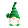 St. Patrick\'s Day Gnome Royalty Free Stock Photo
