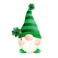 St. Patrick\'s Day Gnome