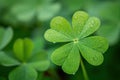 St. Patrick's day green lucky four leaf clover. Generative AI Royalty Free Stock Photo