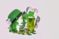 St. Patrick`s Day Holiday Decor with copy space