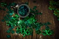 St.Patrick`s day holiday symbol. Close up view. Selective focus.