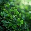 st patrick's day irish clover background